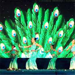 ���轛(j��ng)�o��˾