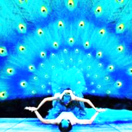 ���轛(j��ng)�o��˾