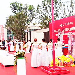 �_(k��i)�P(p��n)�c����(d��ng)��˾