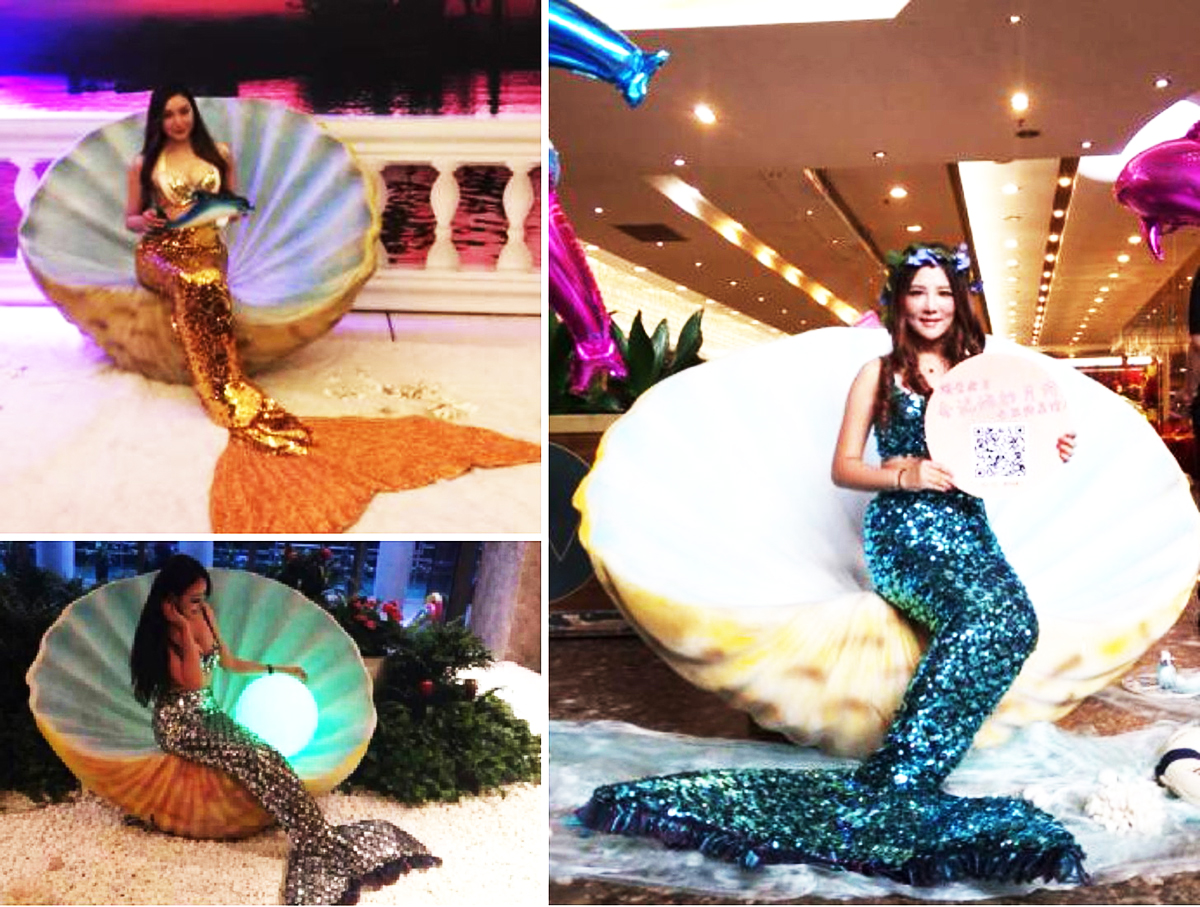 �V���ݳ���(ji��)Ŀ��(j��ng)�o(j��)��˾